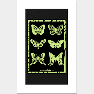 Butterfly Poster Posters and Art